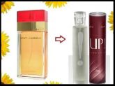 PERFUME UP! 16 DOLCE & GABBANA